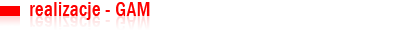 realizacje